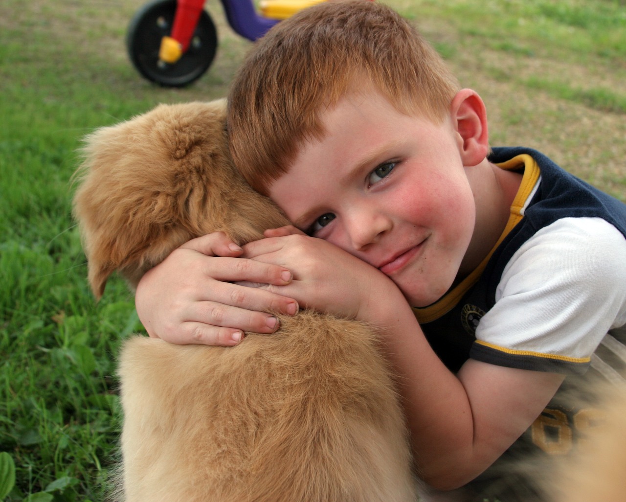 puppy, boy, love